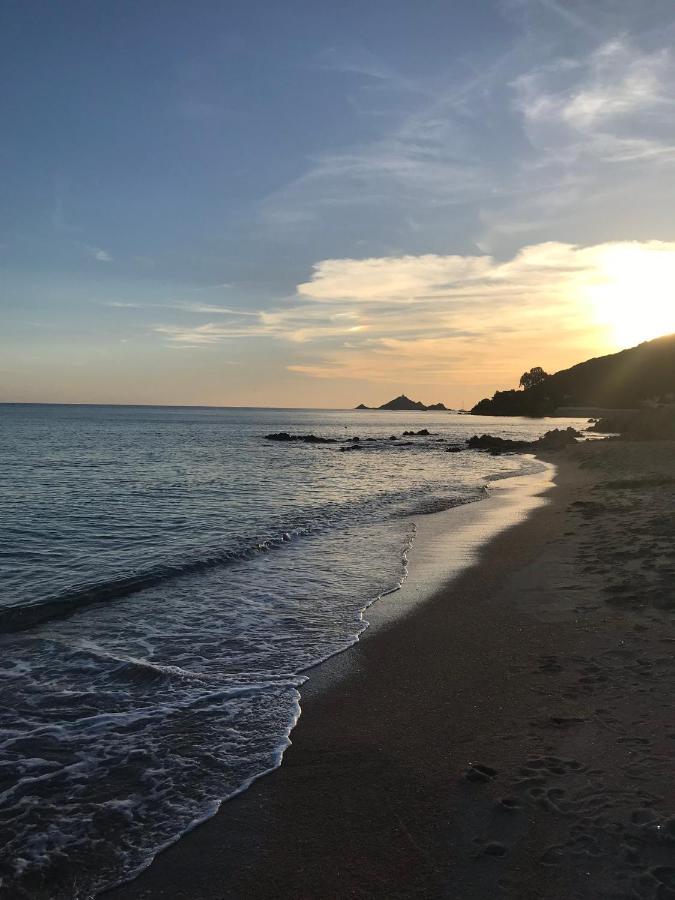 Magnifique Villa Recente Entre Mer Et Montagne Situee Entre Ajaccio Et Porticcio Cauro Buitenkant foto