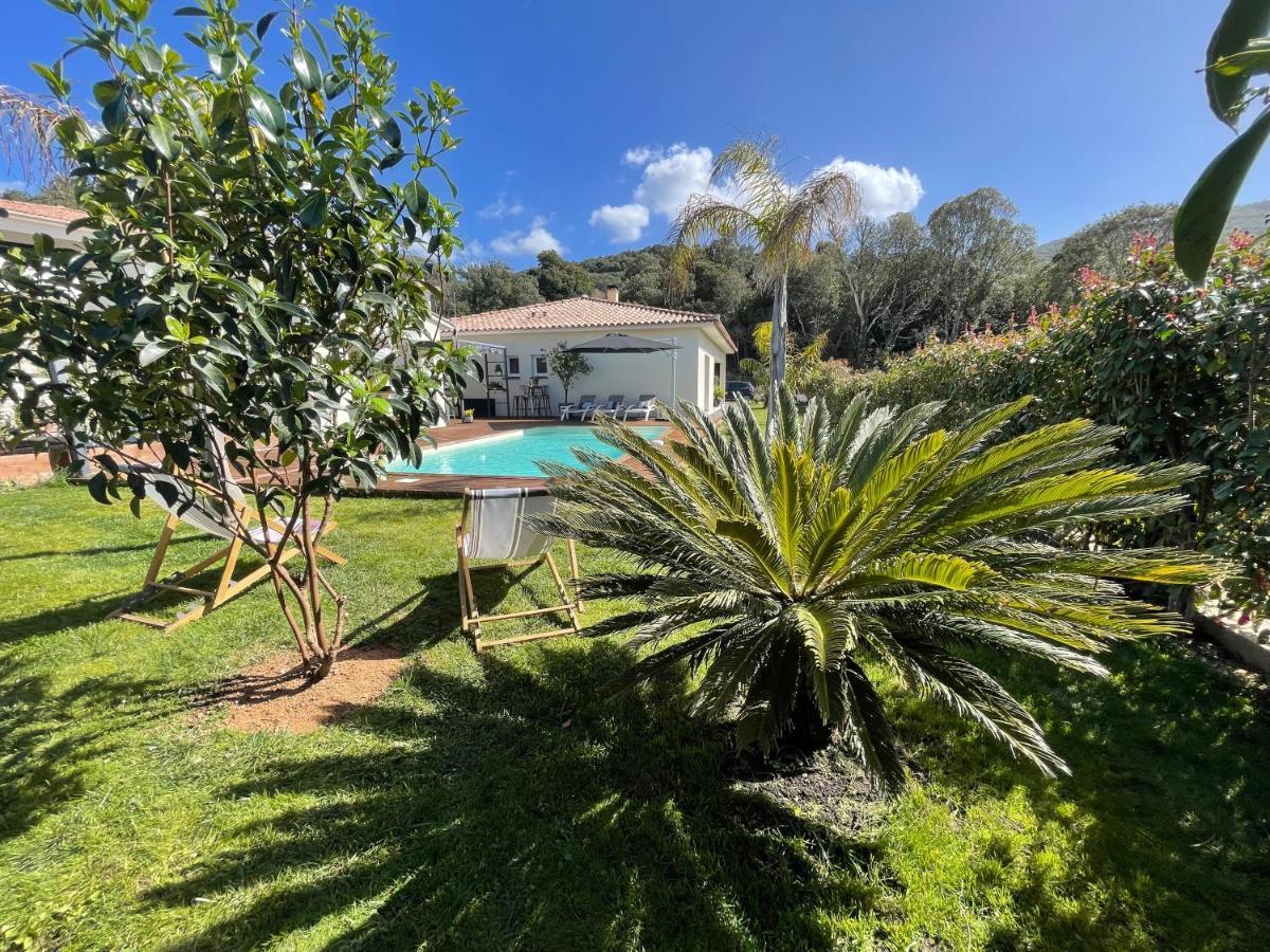Magnifique Villa Recente Entre Mer Et Montagne Situee Entre Ajaccio Et Porticcio Cauro Buitenkant foto